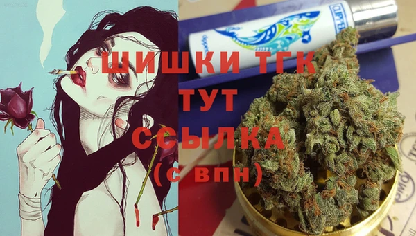 Альфа ПВП Белокуриха