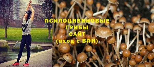 Альфа ПВП Белокуриха