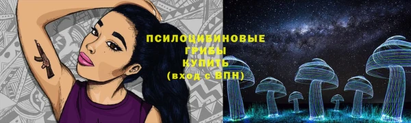 прущие крисы Белоозёрский